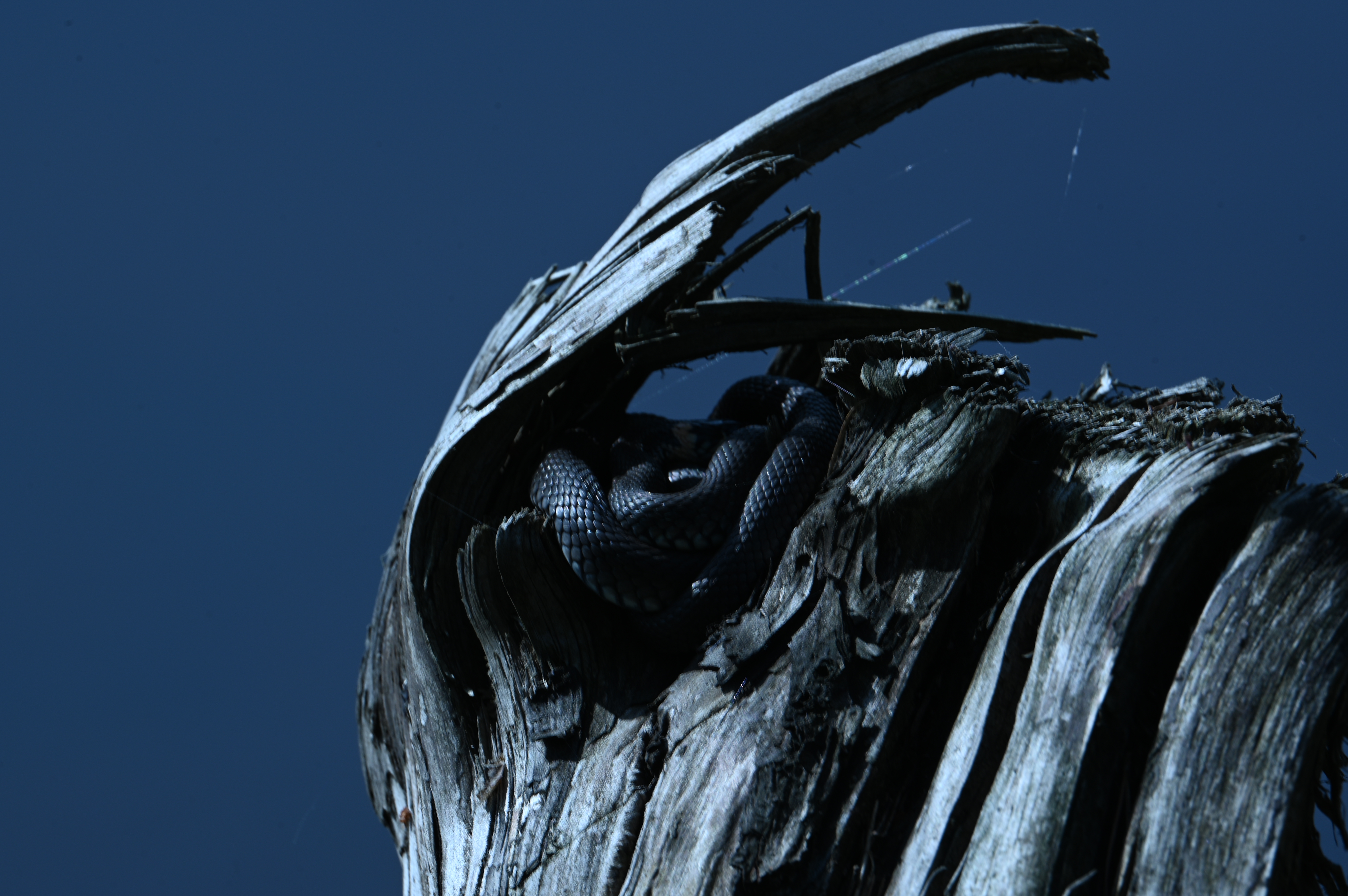 2025/07/09-14 - trip/DSC_0503.JPG